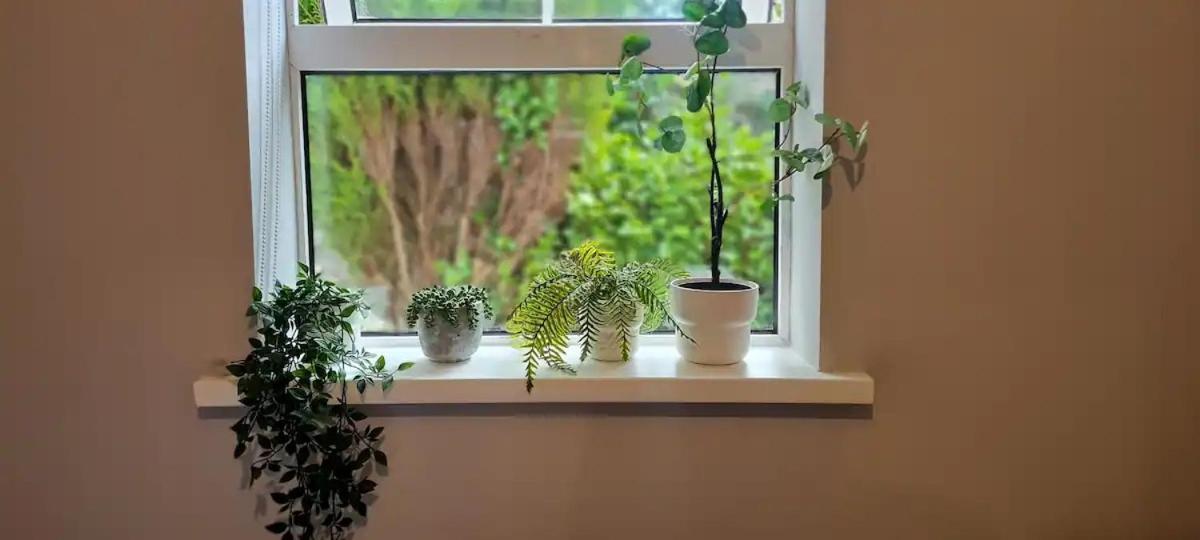 Blima Central Rooms Δουβλίνο Εξωτερικό φωτογραφία